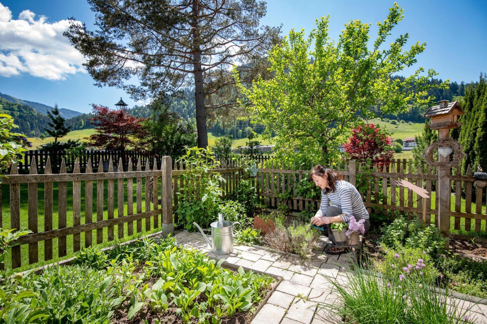 Pension Edelweiss Söll Exteriér fotografie